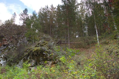 IMG_2682_r